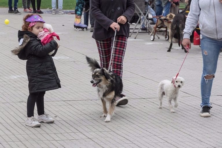 Dia del Animal en San Luis