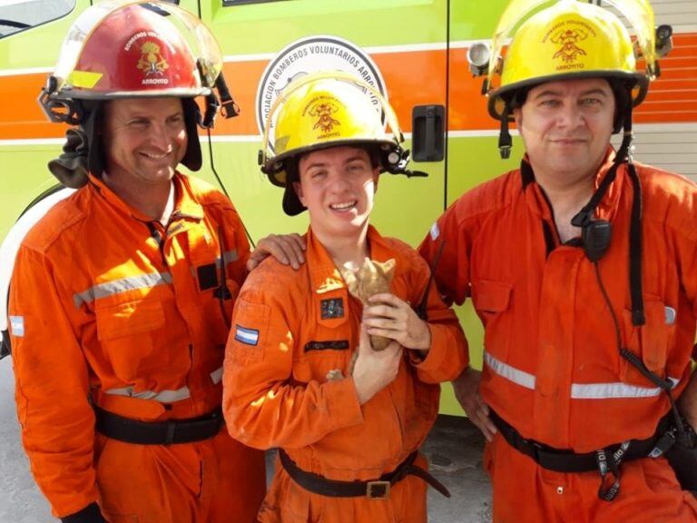 Bomberos Voluntarios de Arroyito salvaron un gatito de un desagüe