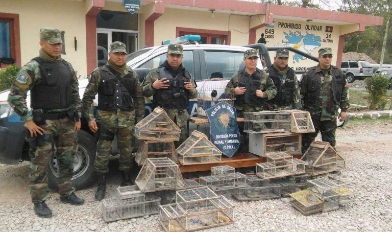 La Policía Rural de Salta rescató aves silvestres y las devolvió a su hábitat. (Policía de Salta)