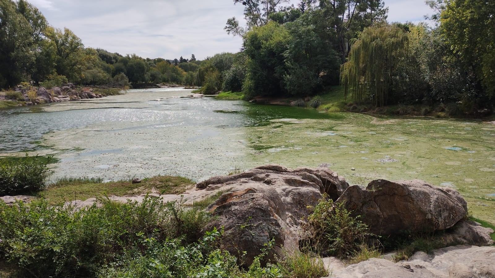 Cianobacterias Río San Antonio