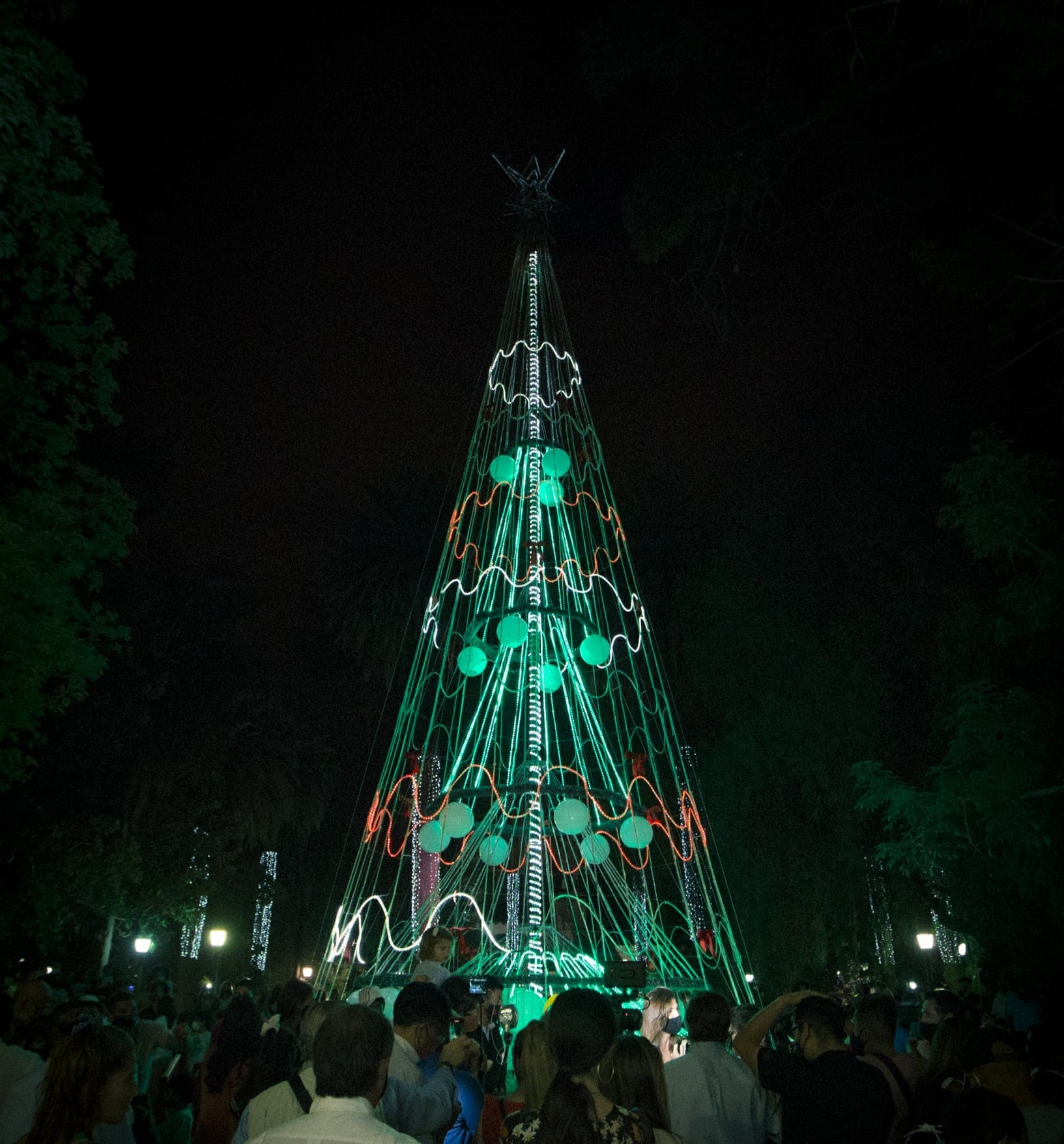 El fin de semana largo concluyó con la iluminación del Árbol de Navidad de la Plaza 9 de Julio.