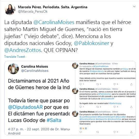 Carolina Moisés sobre Güemes. (Twitter)