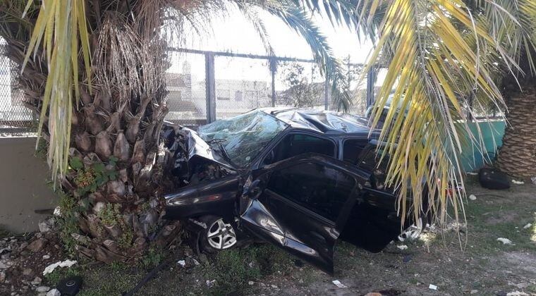 Un auto se estrelló contra una palmera en Benal, Quilmes (Web)