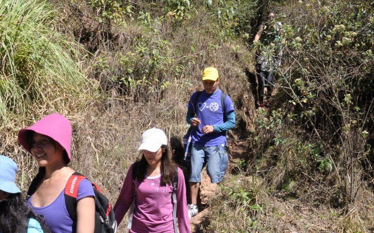 Atravesar la espesura es una experiencia que hace sentir la vitalidad de la naturaleza.