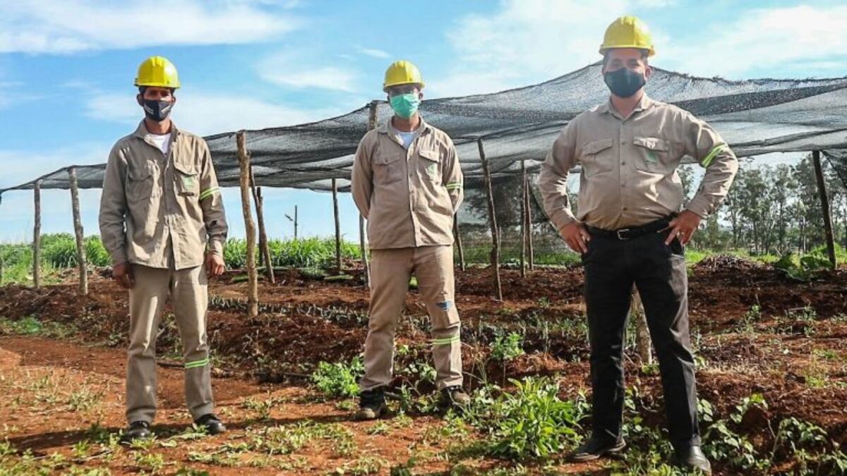 Espacio agroecológico en la Unidad Penal VI de Posadas