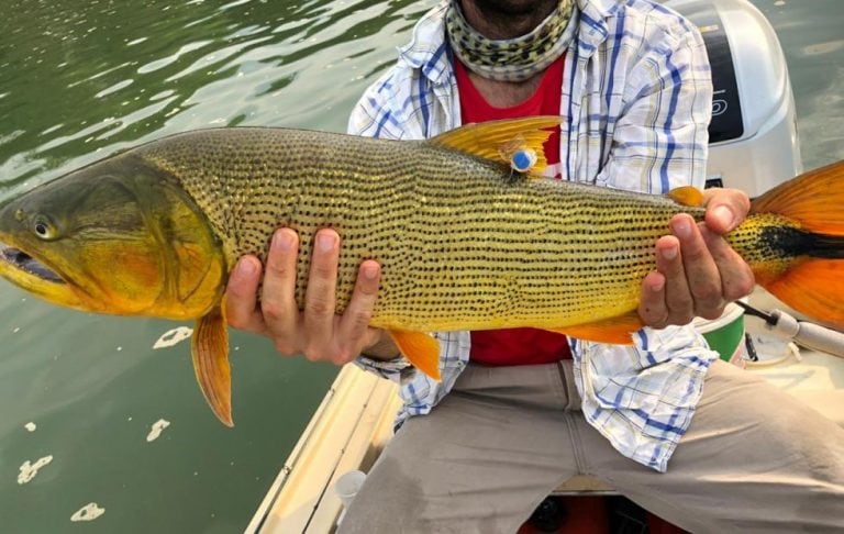 La pesca seguirá prohibida en Corrientes hasta que mejoren las condiciones del río.