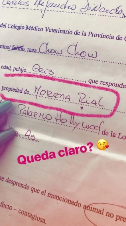 More Rial aclaró todo sobre sus perros. (Foto: Captura de Instagram)