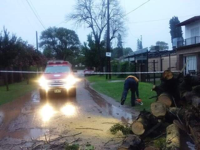 Caída de árbol obstruye una calle en Mendiolaza