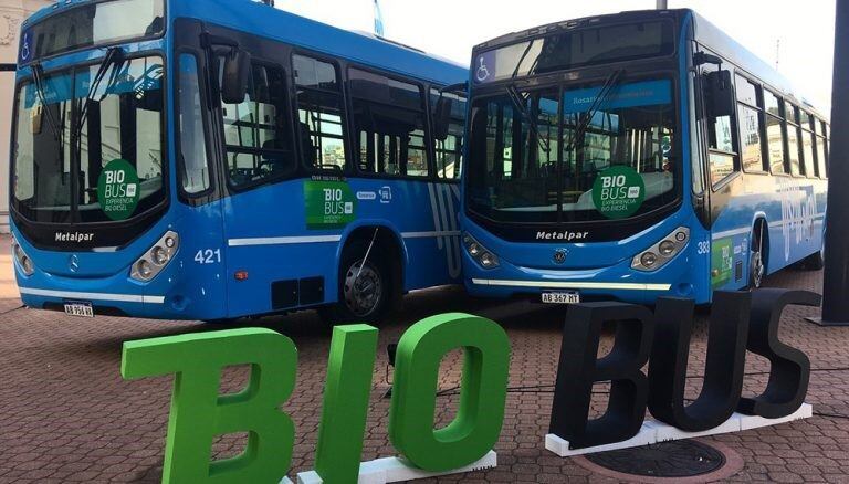 Biobus: la provincia propone que todo el transporte público utilice biodiesel