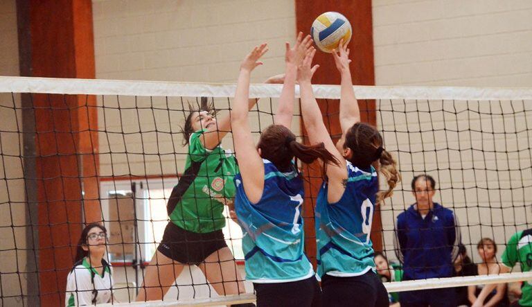 Voley femenino de Tierra del Fuego