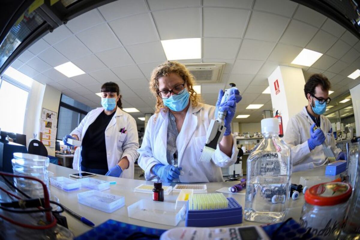 Misiones presentó proyectos científicos para combatir la pandemia coronavirus