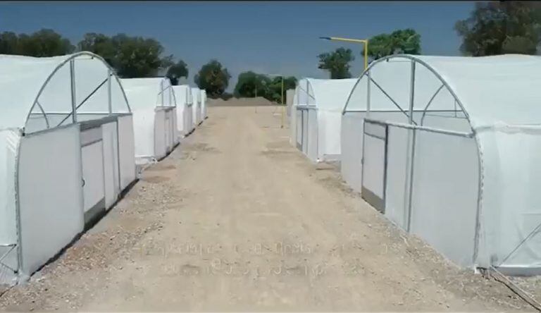 Nueve invernaderos fueron construidos en la finca El Pongo para la implementación del plan piloto de cultivo de cannabis medicinal.