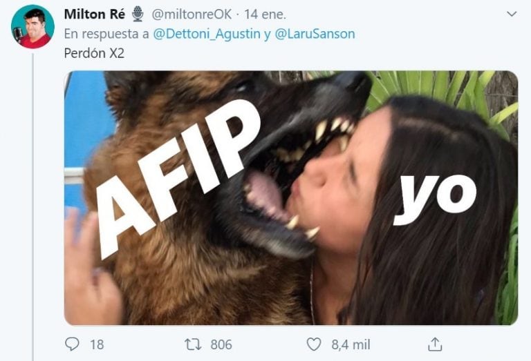 Los memes de la mordida del perro Kenai a Laru que se volvió viral (Foto: captura Twitter)