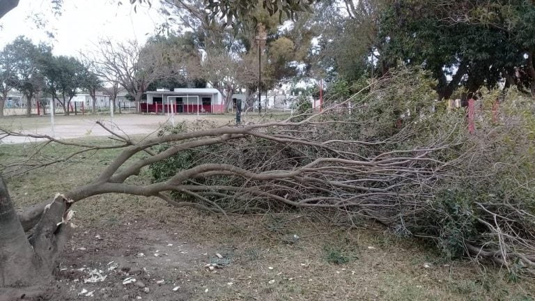 Centro Vecinal Nicolás Batalla Arroyito