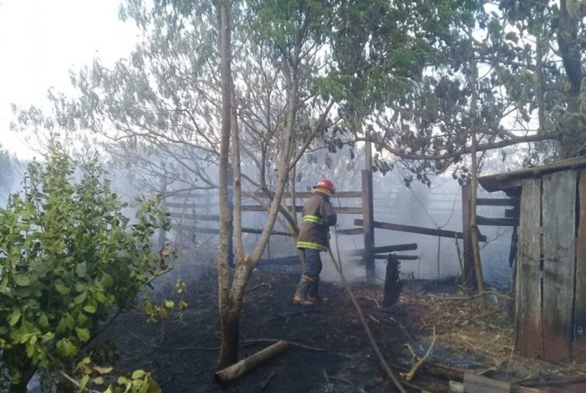 Gobernador Roca: un incendio en malezas y plantaciones de yerba afectó 35 hectáreas