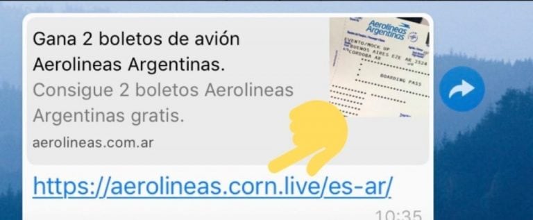 Imagen viral Aerolíneas Argentina. (Web)