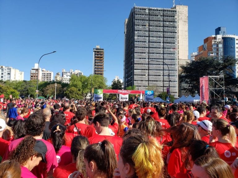 Mas de 11 mil competidores en la maratón organizada por la UNLP.