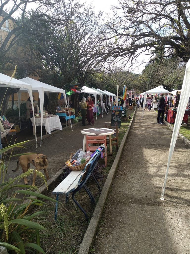 Feria agroecológica en Río Ceballos.