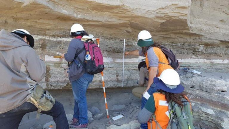 El estudio lo realizó la UNRN y la Sociedad de Geología Sedimentaria (web).