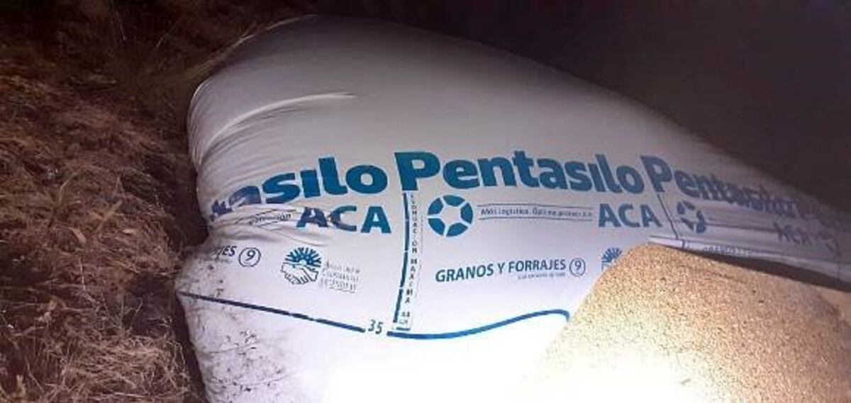 Destrucción de silobolsas en Federal: hablan de un nuevo ataque 'contra el campo'