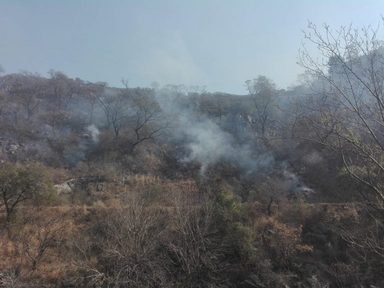 La Calera: las llamas continuaron durante toda la noche y el día.