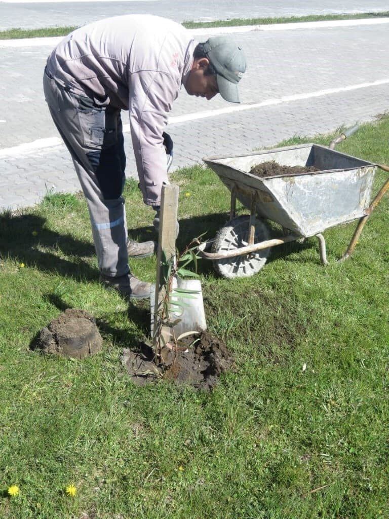 Se entregaron mas de 130 especies de arboles a la localidad de Tecka.