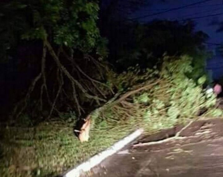 Un intenso temporal afectó a gran parte de Corrientes. (Foto: Corrientes Hoy)