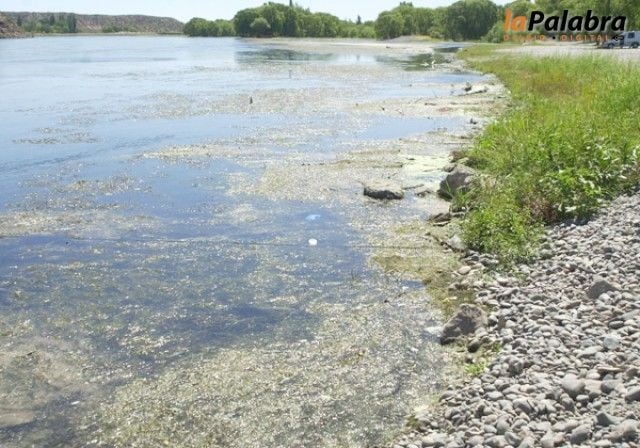 Río Negro (web).