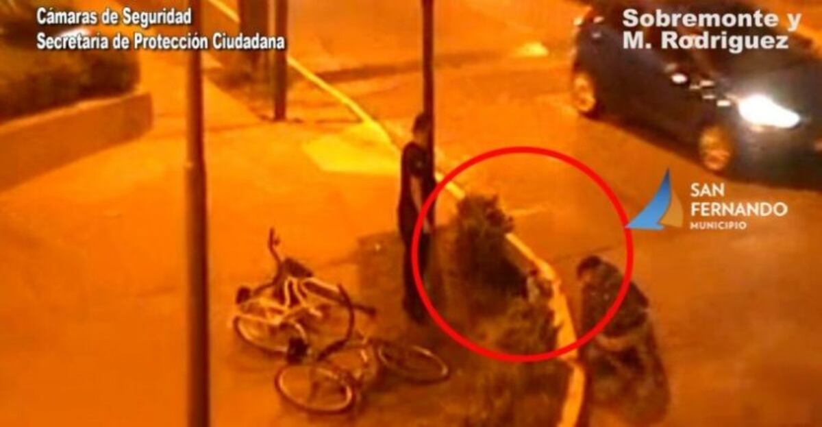 Rescataron a un perro ciego que quedó atrapado en una boca de tormenta