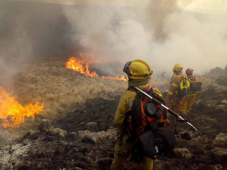 En pleno combate del fuego.