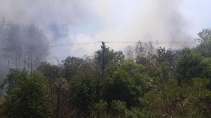 Sofocaron un incendio a pocos kilómetros de Bonpland. Las llamas consuumieron unas cinco hectáreas.