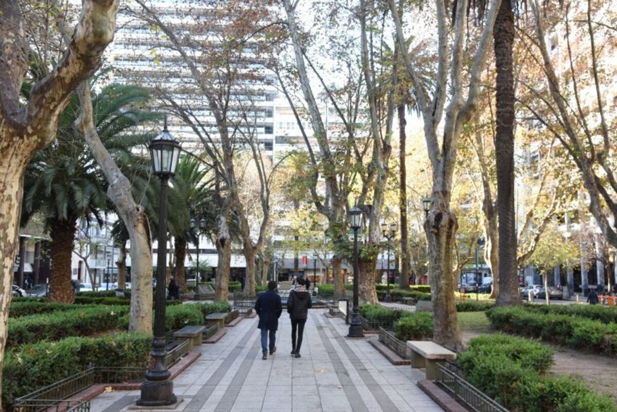 Inician obras de remodelación del Paseo del Siglo y de la plaza Pringles