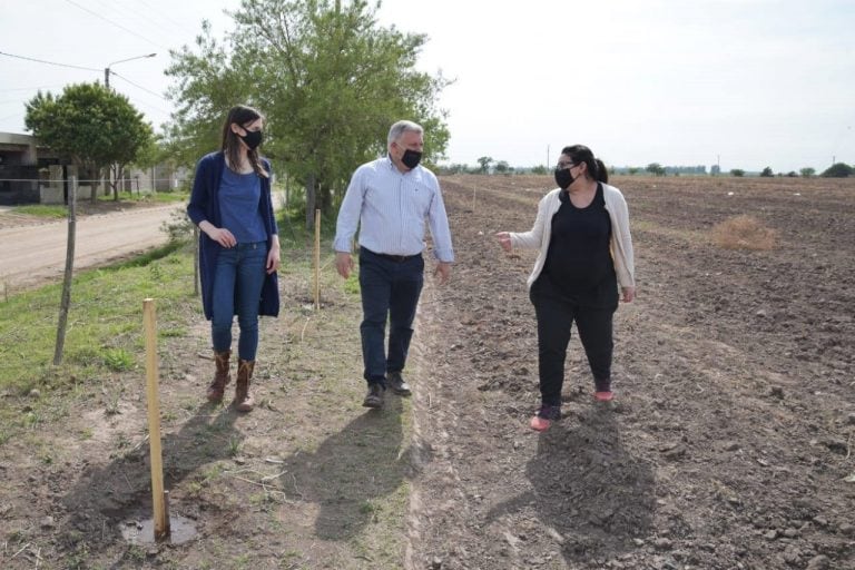 Segunda etapa de plantación de Cortinas Forestales en Arroyito