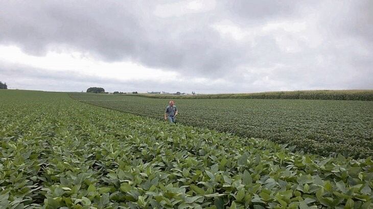 La oposición se opone a las nuevas retenciones al campo que propone el oficialismo.