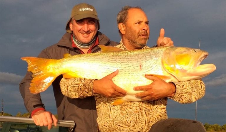 Miguel Rovera, de Alcira Gigena, pescó este dorado de 25 kilos en las aguas del Paraná. (Puntal.com)