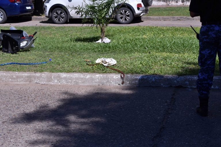 Partes de la cartera quedaron tiradas sobre el parterre.