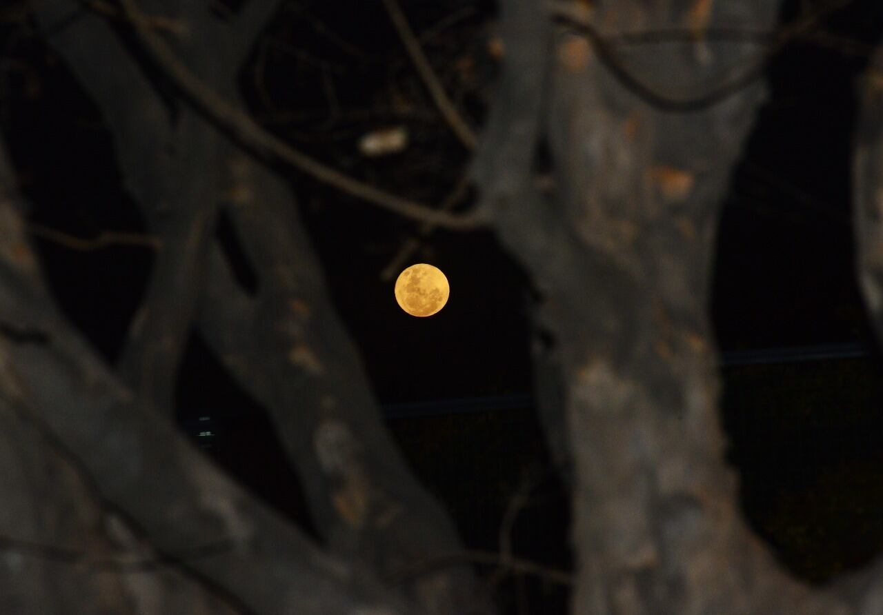 Superluna de ciervo 2022. (Javier Ferreyra / La Voz)