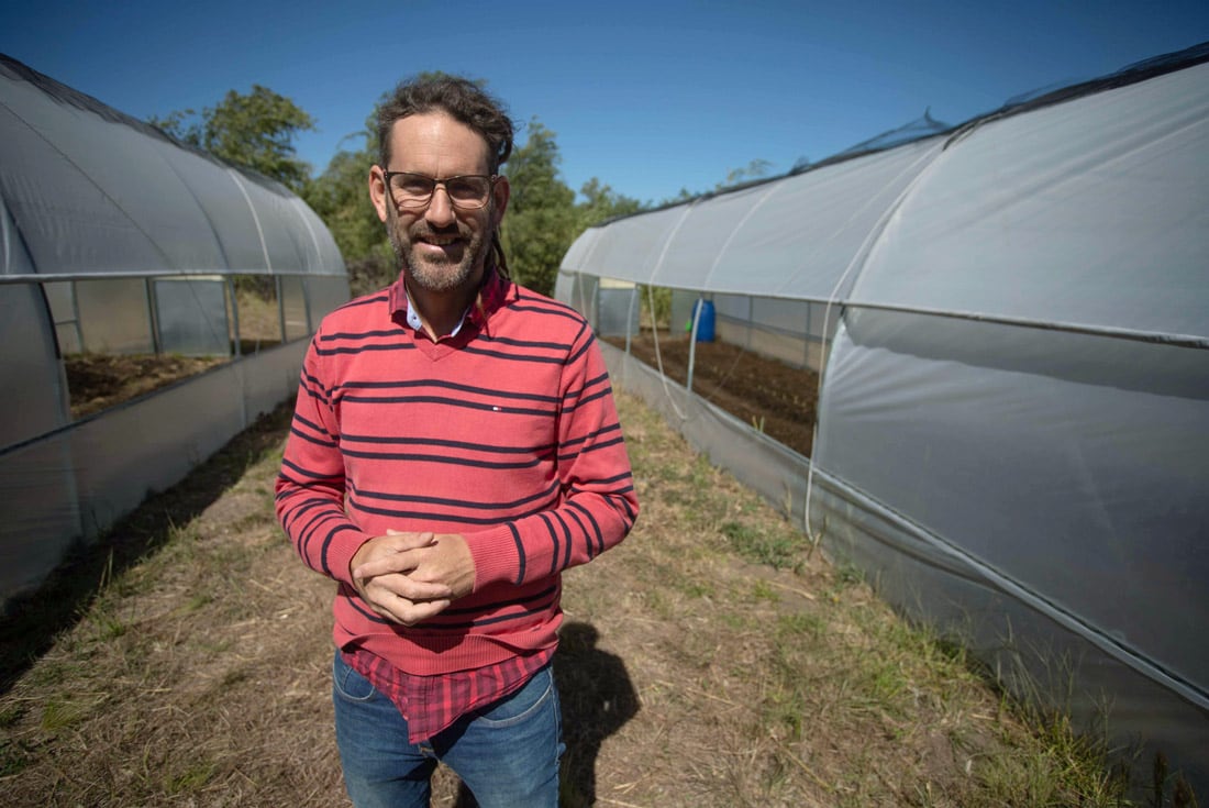 El intendente de Villa Ciudad Parque Los Reartes, Pablo Riveros, en un invernadero.  Obtuvo el aval del Ministerio de Salud de la Nación para cultivar cannabis "pública". (Nelson Torres / La Voz)