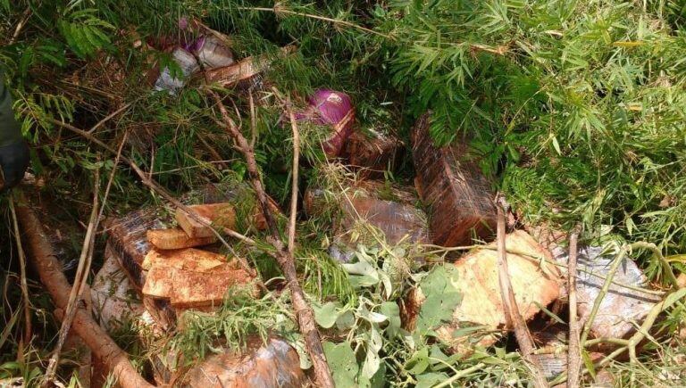 Encontraron más de una tonelada de marihuana en Misiones. (Foto: Gendarmería)