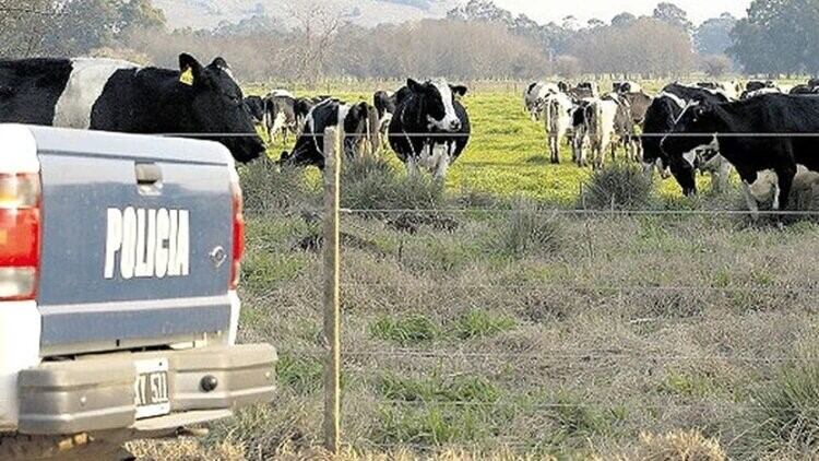 El robo de ganado crece fuerte en Santa Fe