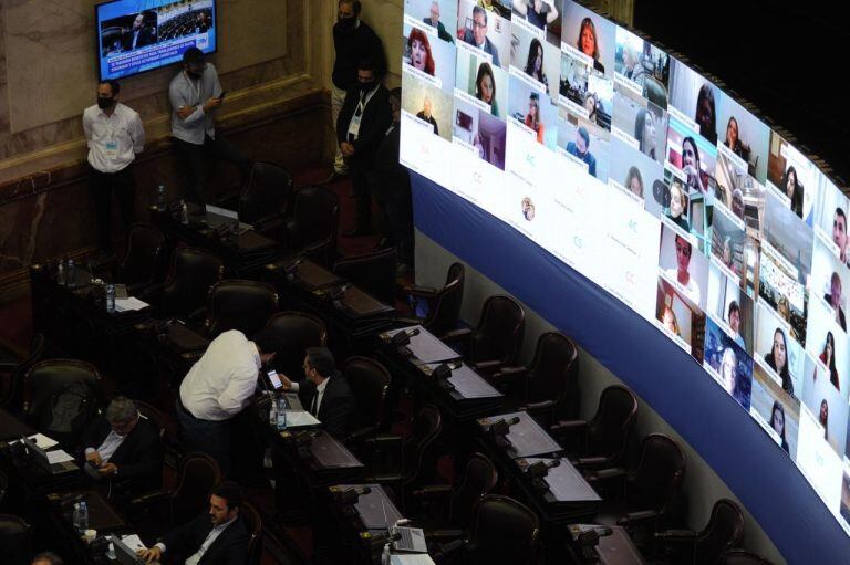 Primera sesión virtual en Diputados. (Foto: Federico López Claro)