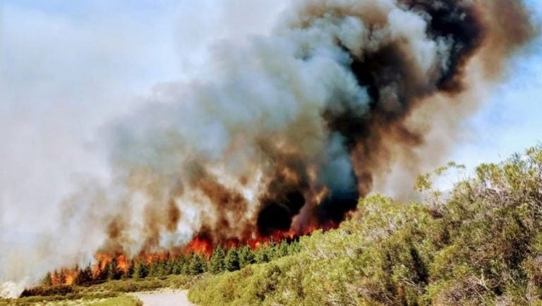 La zona afectada es de 400 hectáreas (LmNeuquén).