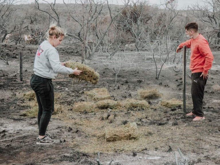 Proteccionistas dejaron alimentos en lugares devastados por las llamas. (Foto: Facebook / Ipad Carlos Paz).