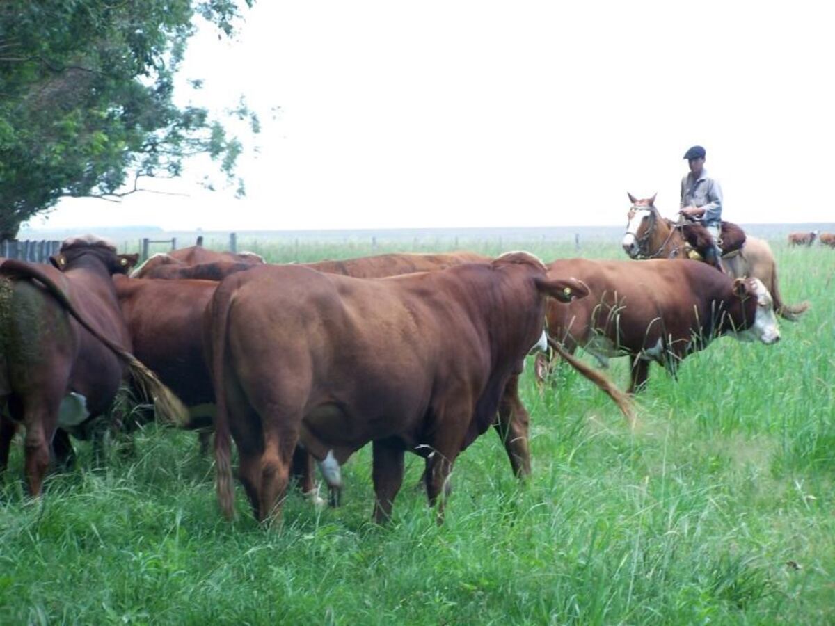 Como siente la producción el coronavirus