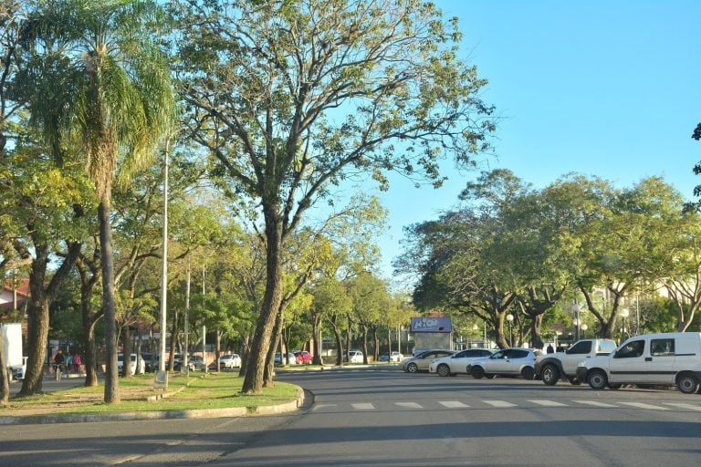 El SMN prevé un domingo con temperaturas de hasta 30 grados.