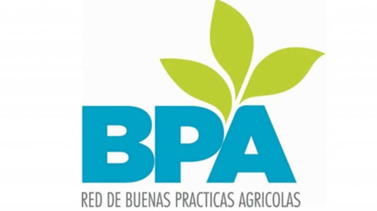 Viernes 14 de diciembre, cierra el ciclo de BPAs