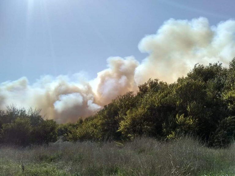 Incendio Claromecó