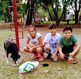 Cami, Mar y Mateo, los chicos azuleños que se volvieron virales por darle de comer a perros callejeros.