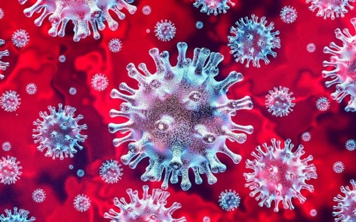 Coronavirus: dio negativo el paciente alemán internado en Río Grande
