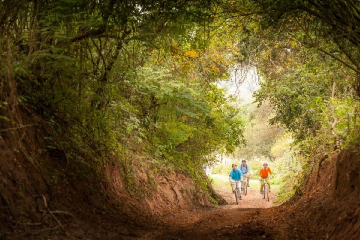 Esta semana podría volver el turismo interno y evalúan el interprovincial